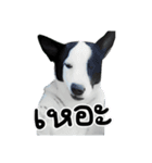 ファンタ犬（個別スタンプ：17）