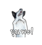 ファンタ犬（個別スタンプ：18）