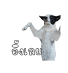 ファンタ犬（個別スタンプ：22）