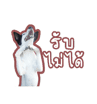 ファンタ犬（個別スタンプ：24）