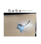 たいきです！！（個別スタンプ：30）