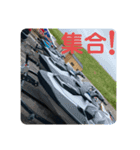 BLOOK MARINE（個別スタンプ：5）