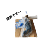 BLOOK MARINE（個別スタンプ：14）