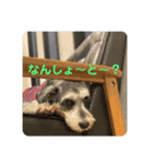 BLOOK MARINE（個別スタンプ：16）