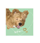 盲目のいぬオルソすたんぷII（個別スタンプ：2）