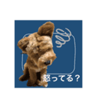 盲目のいぬオルソすたんぷII（個別スタンプ：5）