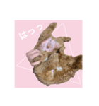 盲目のいぬオルソすたんぷII（個別スタンプ：6）