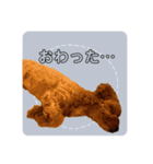 盲目のいぬオルソすたんぷII（個別スタンプ：7）