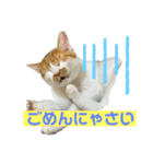 メルめるスタンプ（個別スタンプ：2）