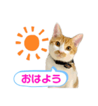 メルめるスタンプ（個別スタンプ：5）
