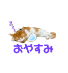 メルめるスタンプ（個別スタンプ：6）