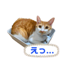 メルめるスタンプ（個別スタンプ：10）
