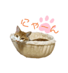 メルめるスタンプ（個別スタンプ：15）