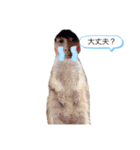 高校生けんちゃん2（個別スタンプ：14）