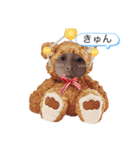 高校生けんちゃん2（個別スタンプ：16）