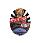 つっちーの日常4。ギャンブルで破産編！（個別スタンプ：5）