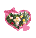 いろいろなバラの写真のスタンプ（個別スタンプ：31）