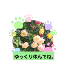 いろいろなバラの写真のスタンプ（個別スタンプ：33）
