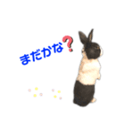 ダッチうさぎのうさ太☆2（個別スタンプ：4）