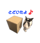 ダッチうさぎのうさ太☆2（個別スタンプ：29）