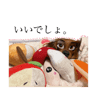 あんちゃこ2（個別スタンプ：5）