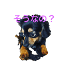 ソラの日常2（個別スタンプ：1）