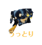 ソラの日常2（個別スタンプ：3）