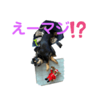 ソラの日常2（個別スタンプ：15）