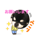 うちの、かぃちゃん。（個別スタンプ：9）