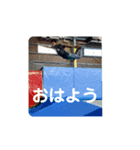 きりゅう スタンプ（個別スタンプ：4）