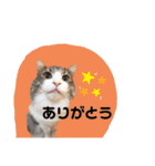 絆工房（個別スタンプ：1）