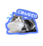 絆工房（個別スタンプ：2）