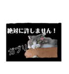 絆工房（個別スタンプ：3）