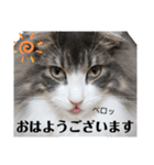 絆工房（個別スタンプ：7）