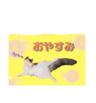 絆工房（個別スタンプ：8）