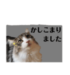 絆工房（個別スタンプ：9）