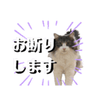 絆工房（個別スタンプ：10）