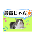 絆工房（個別スタンプ：12）