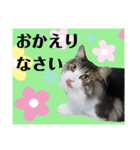 絆工房（個別スタンプ：16）