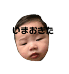 るいたんスタンプNo．2（個別スタンプ：3）