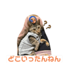 さぼてん たんぽぽ可愛すぎる猫たち（個別スタンプ：7）