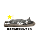 Ncm_om（個別スタンプ：1）