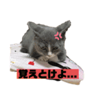 Ncm_om（個別スタンプ：2）