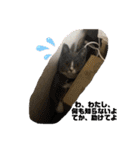Ncm_om（個別スタンプ：3）