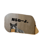 Ncm_om（個別スタンプ：5）
