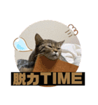 Ncm_om（個別スタンプ：11）