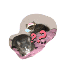 Ncm_om（個別スタンプ：19）