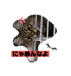 Ncm_om（個別スタンプ：20）