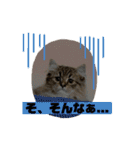 Ncm_om（個別スタンプ：21）