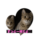 Ncm_om（個別スタンプ：28）